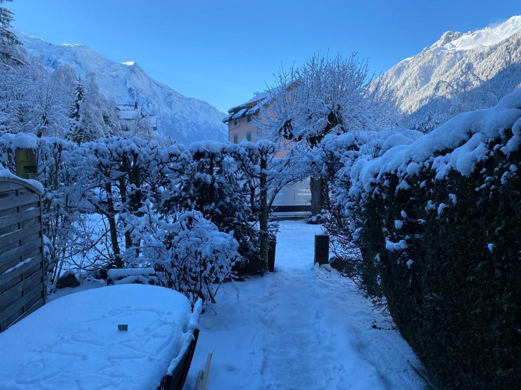 Mer de Glace v zime