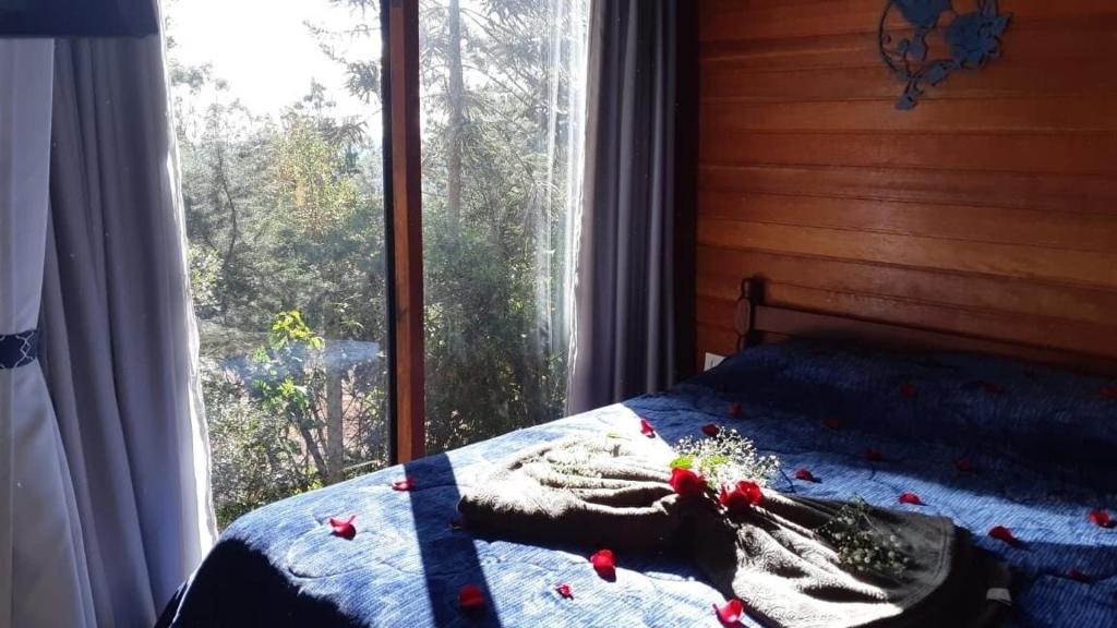 Chalé Beija-flor - Ninho das Aves