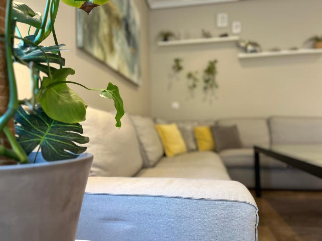 Apartamento Haza - 11