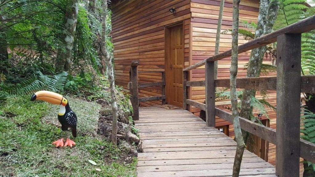 Chalé dos Tucanos- Parede de vidro com linda vista