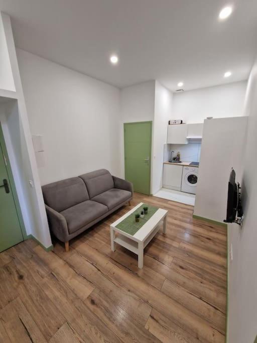 a living room with a couch and a coffee table at Magnifique Appartement de Type 2 in Saint-Étienne