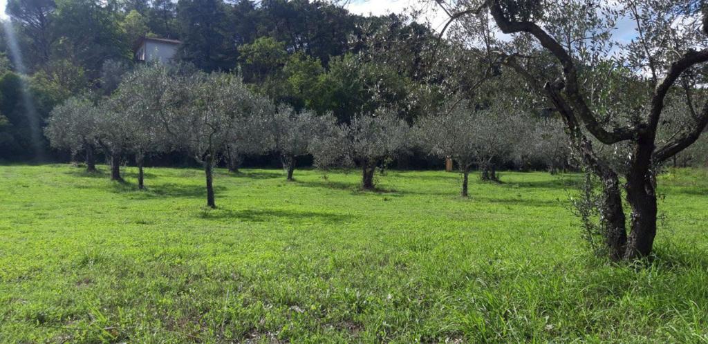 Zahrada ubytování Agricampeggio Borgo Agna
