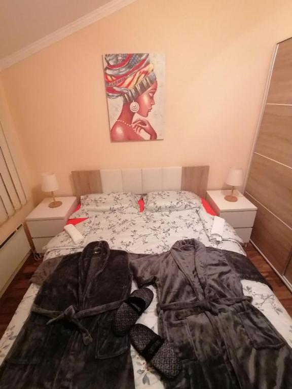 Letto o letti in una camera di Apartman Dionis SM