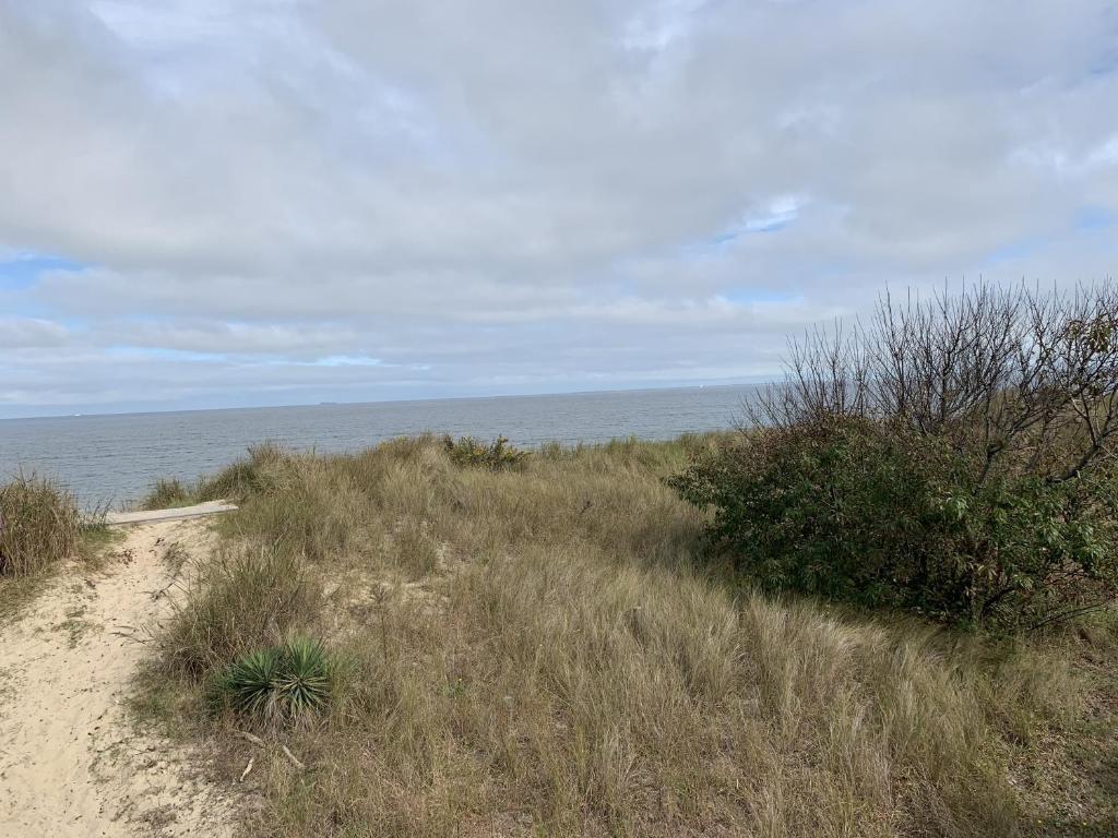 un camino de tierra a través de un campo de hierba junto al océano en Sandy Dunes at the Beach - Beachfront, Wi-Fi, Pets home, en North Camellia Acres