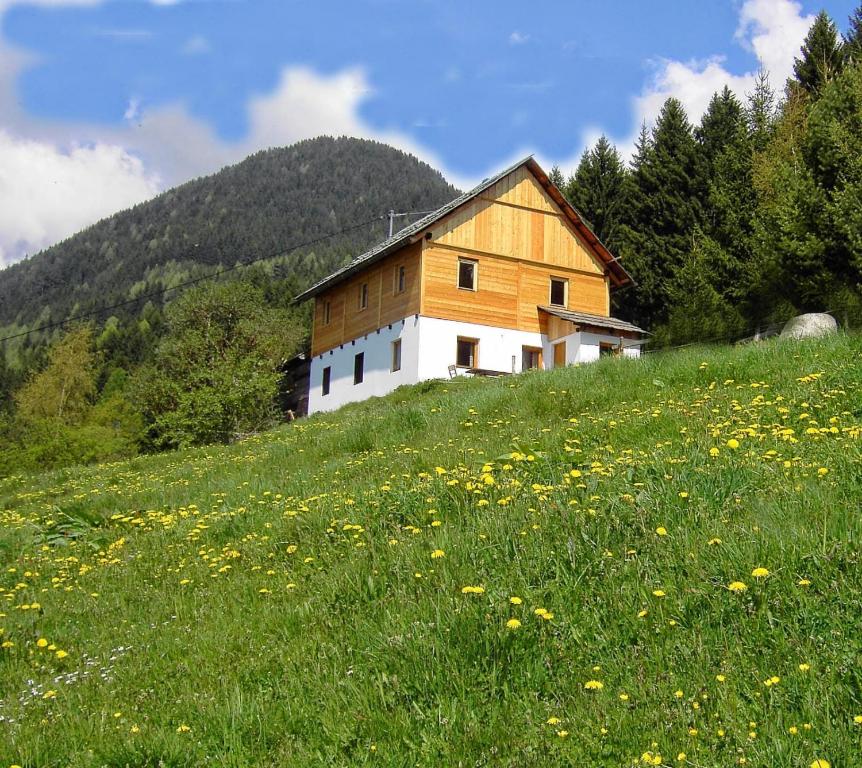 a house on a hill with a field of flowers at Karlbauer Hütte in Lendorf