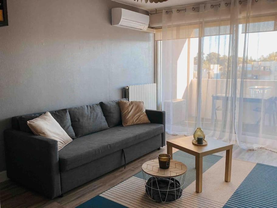 ein Wohnzimmer mit einem Sofa und einem Tisch in der Unterkunft Appartement coconing , parking privé, climatisation & WIFI in Montpellier