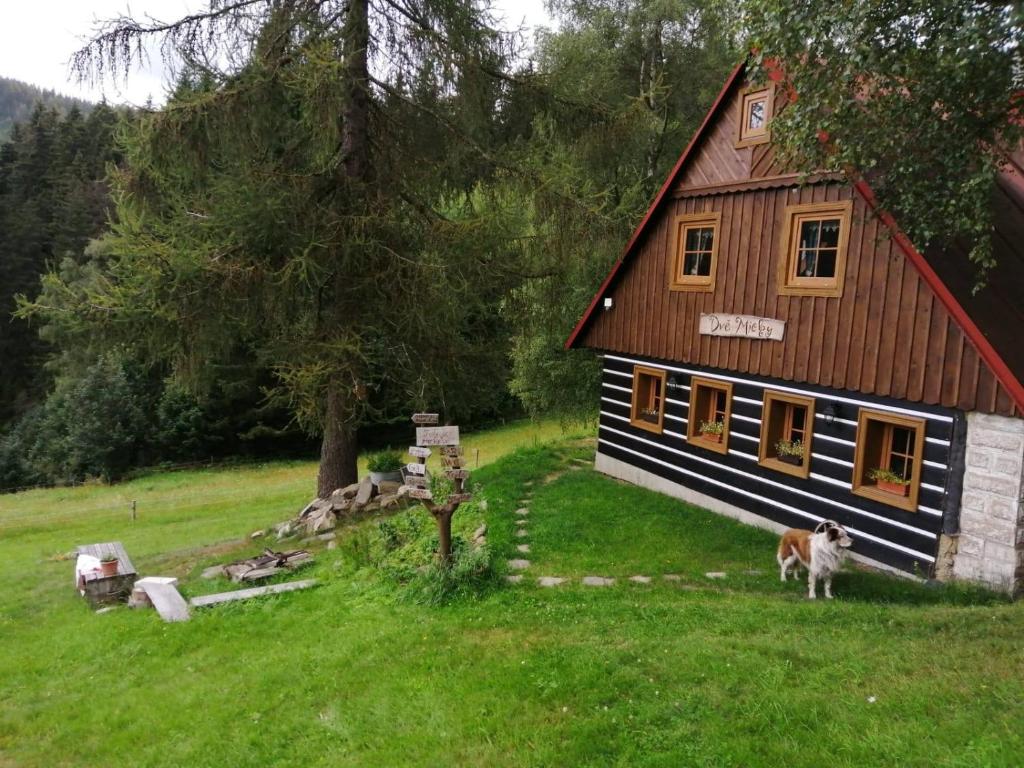 a house with a dog standing in front of it at Apartmán Dvě Micky in Pec pod Sněžkou