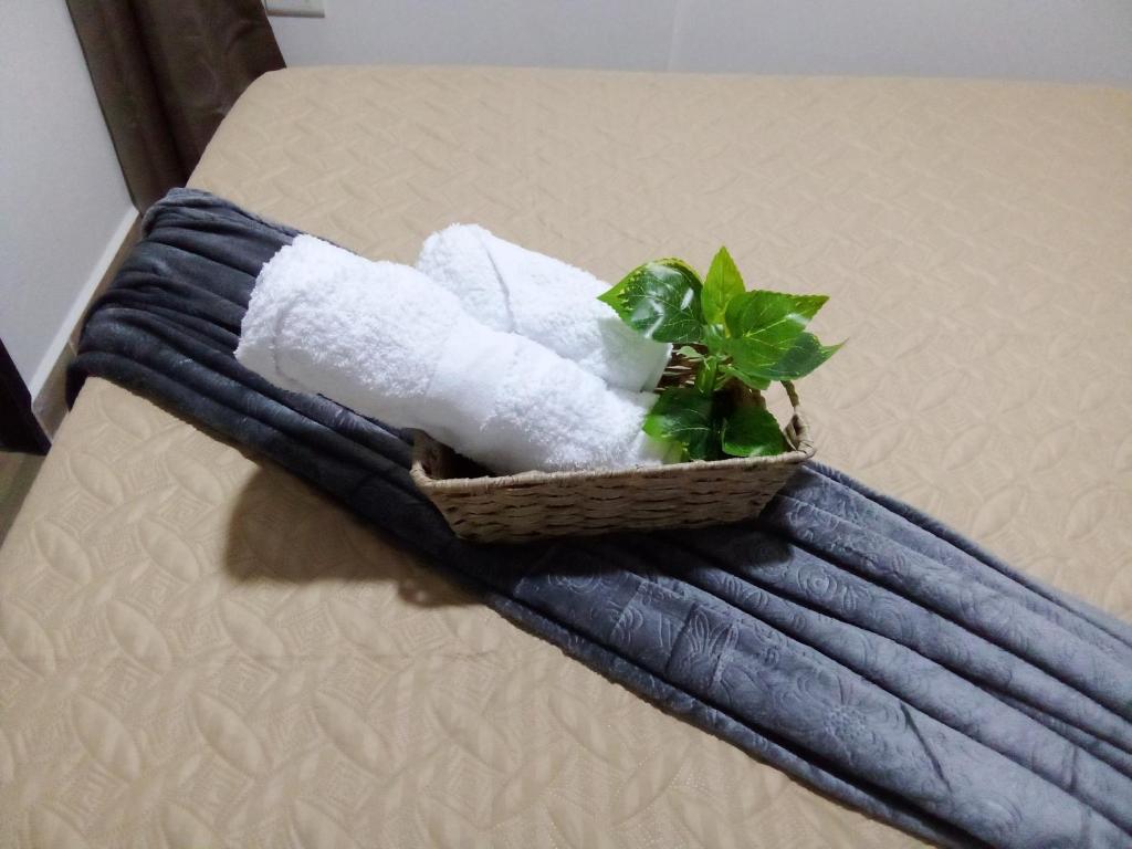 een mand met handdoeken op een bed met een plant bij Los Cauces familiar y central in Medellín