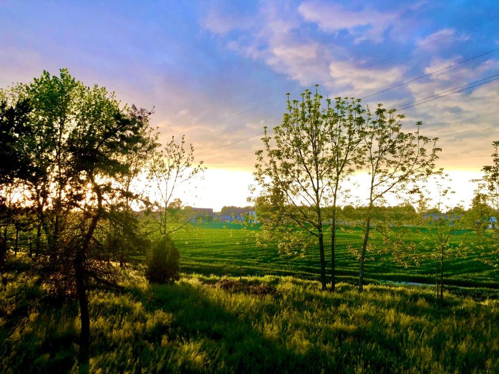 a field with trees and the sunset in the background at Dormi nella SPA privata con letto ad acqua, sauna, doccia emozionale e kneipp in Alessandria