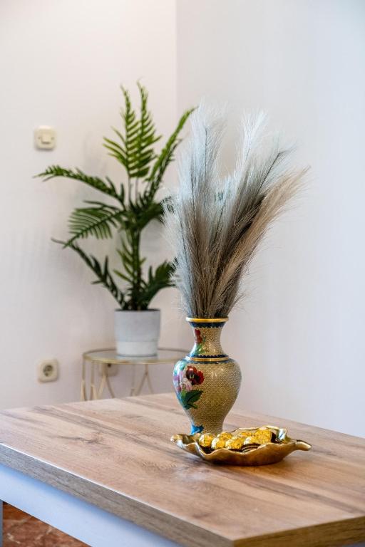Fotografie z fotogalerie ubytování Apartment Mia v destinaci Sutivan