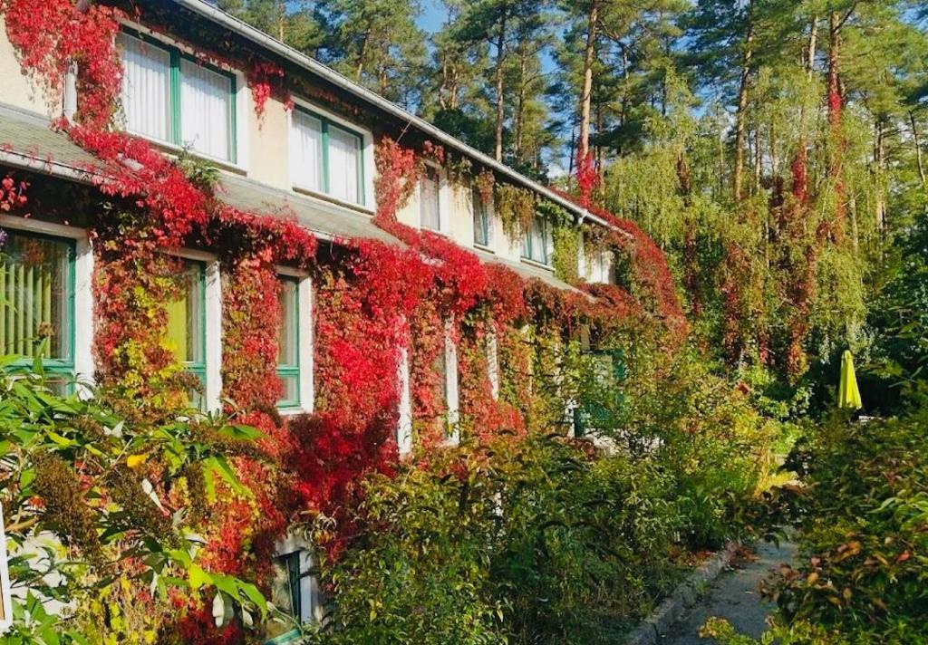 Zahrada ubytování Pension Zur Fledermaus