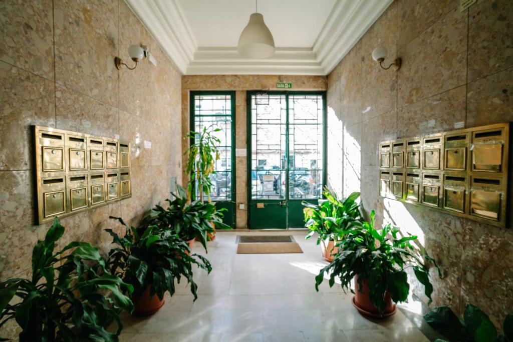 リスボンにあるAlameda Apartments & Roomsの鉢植えの廊下