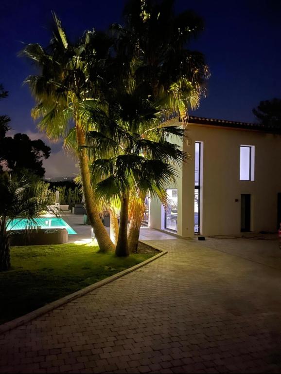 un palmier devant une maison la nuit dans l'établissement Villa EDEN, à La Roquette-sur-Siagne
