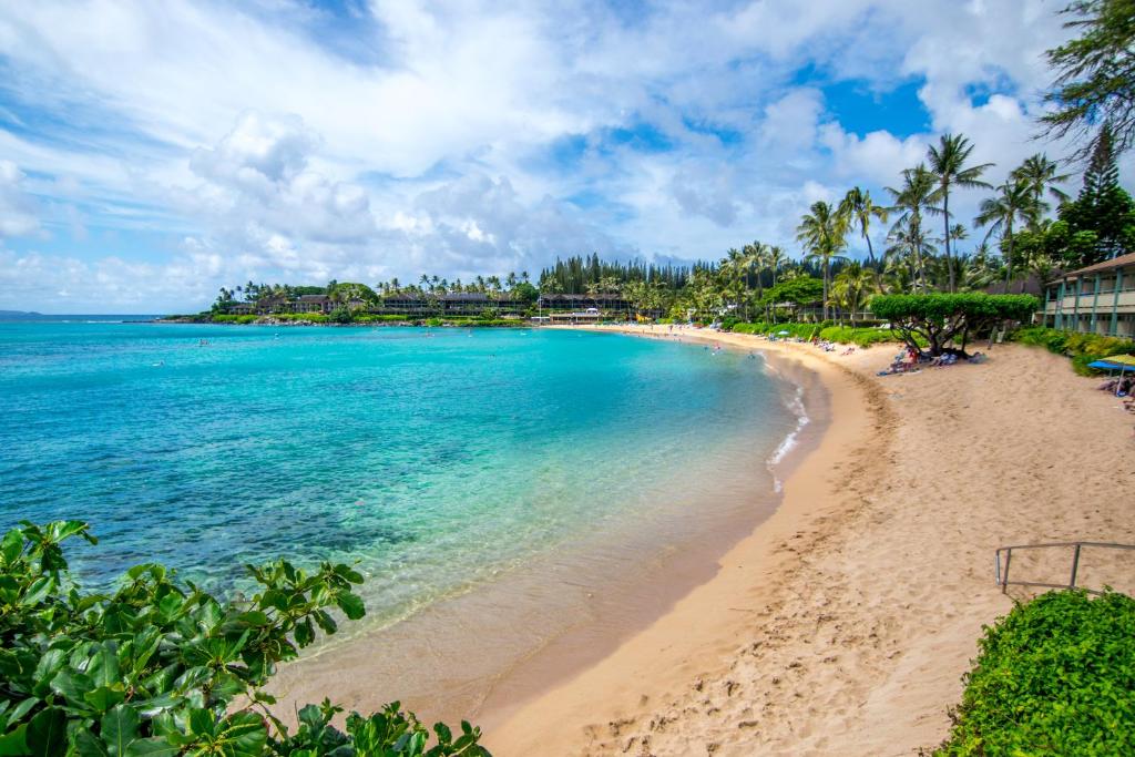 a beach in front of the ocean with palm trees at Napili Shores Maui by OUTRIGGER - No Resort & Housekeeping Fees in Lahaina