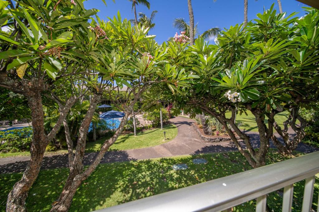 Napili Shores Maui by OUTRIGGER - No Resort & Housekeeping Fees - 工作室花园景观