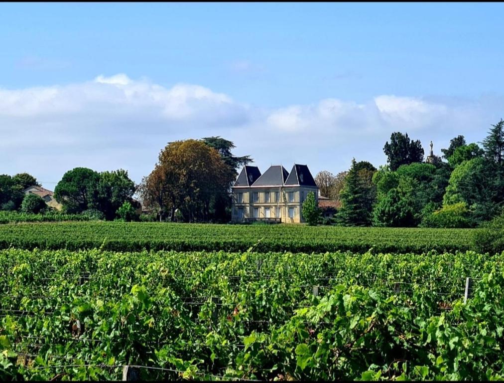 an old house in the middle of a field at Chateau Tanesse de Tourny in Bayon