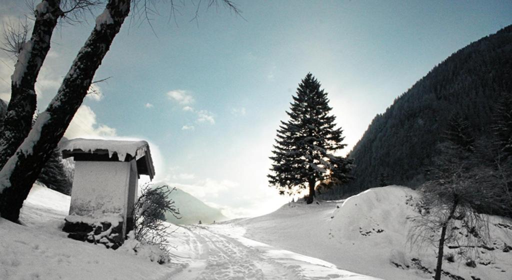 a snow covered road with a pine tree in the distance at Apartments HAUS SCHÖN - Preise inclusive Pitztal Sommer Card in Jerzens