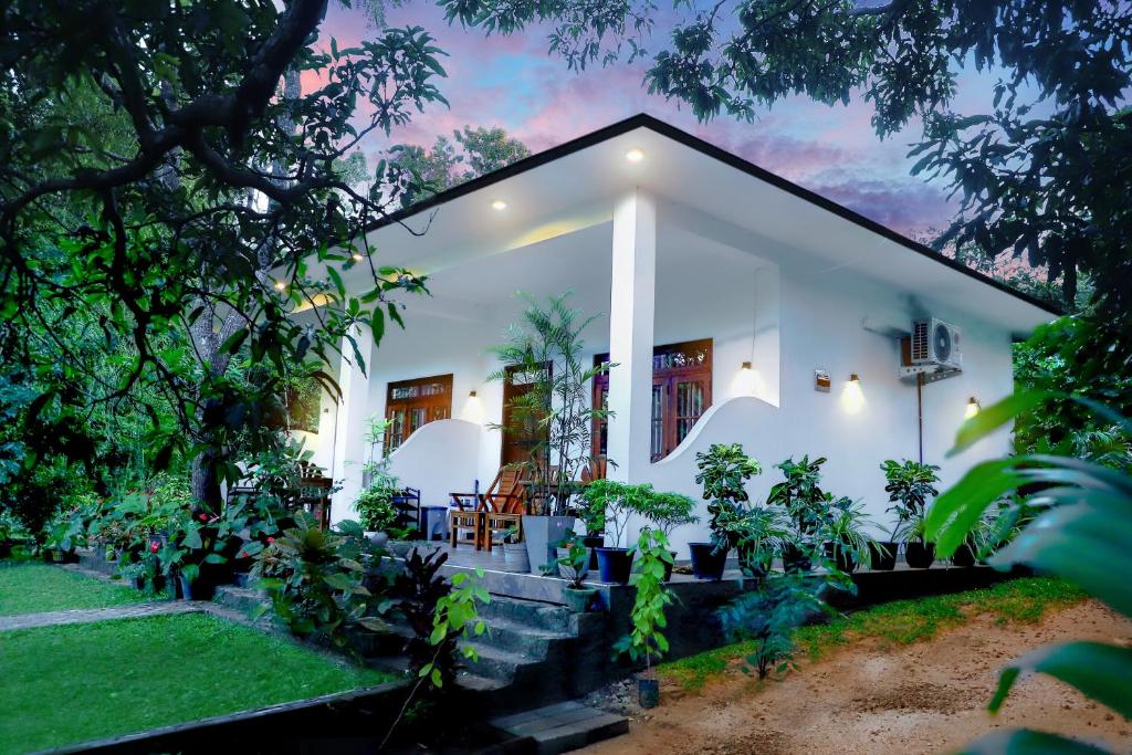 a white house with plants in front of it at The Cattleya Guest House in Sigiriya