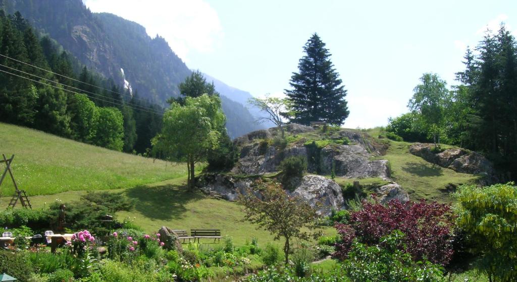 a grassy hill with a tree on top of it at Apartments HAUS SCHÖN - Preise inclusive Pitztal Sommer Card in Jerzens