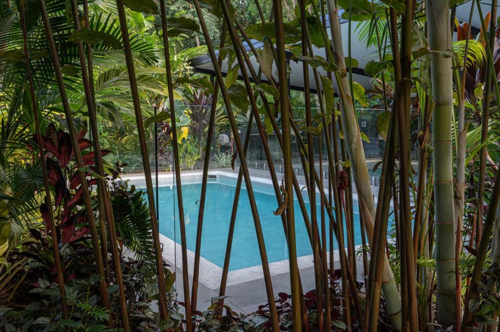 Výhled na bazén z ubytování Tropicana Villas at Clifton Beach nebo okolí
