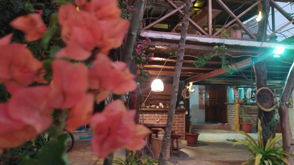 Fotografie z fotogalerie ubytování Canoamar v destinaci Canoa