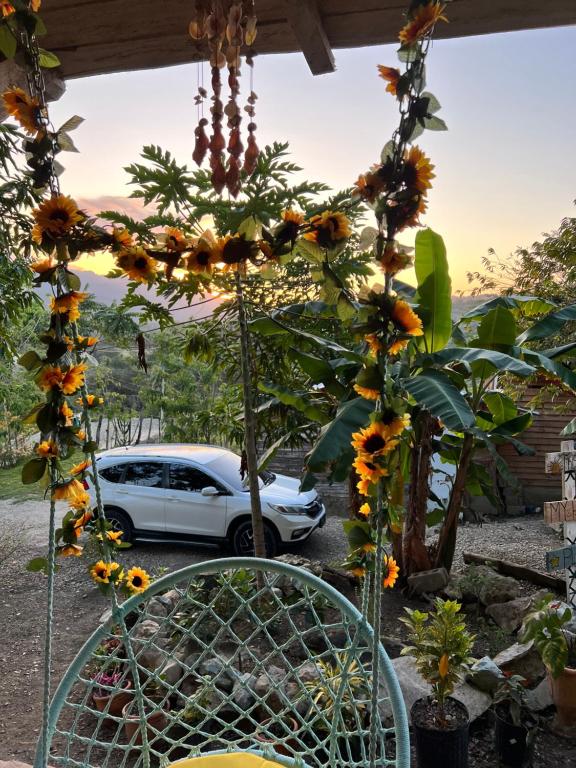 Fotografie z fotogalerie ubytování Ecovillalova v destinaci Camú
