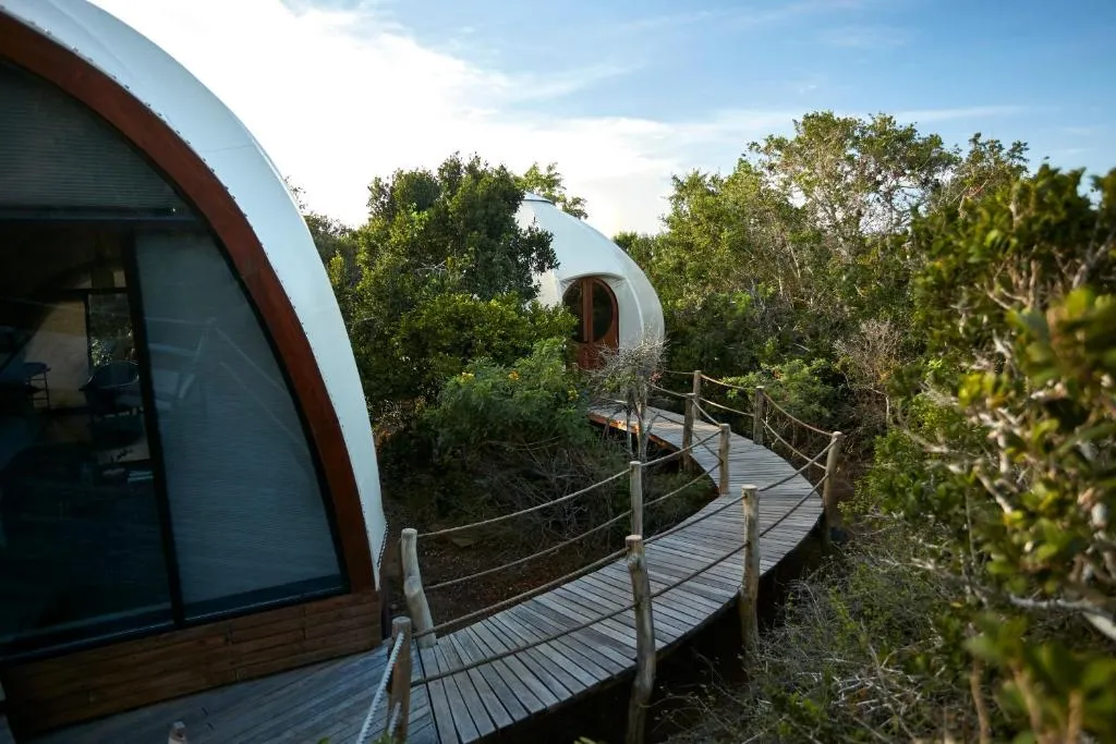 Family Cocoon Pool Suite with One Free Game Drive