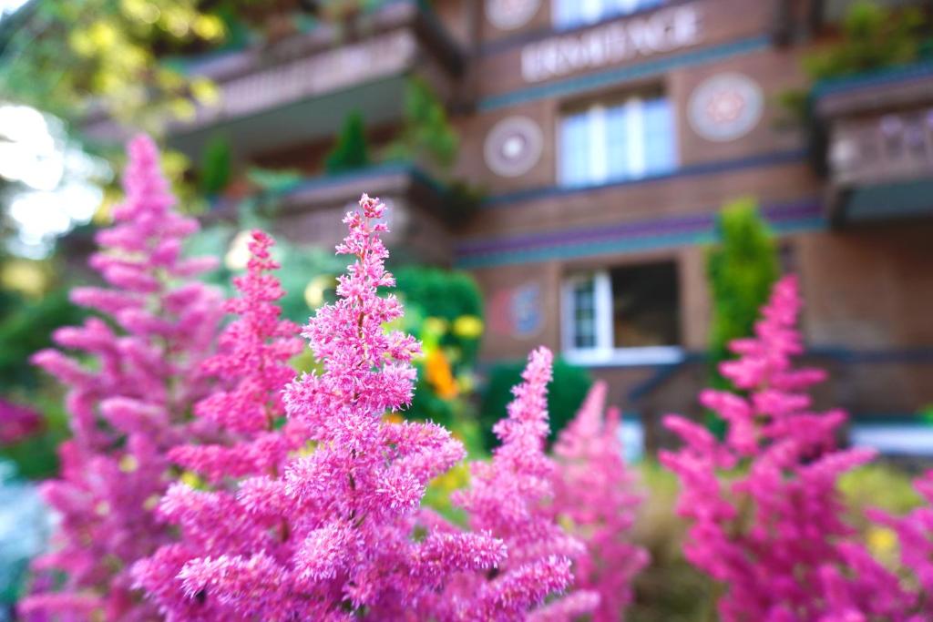 Zahrada ubytování ERMITAGE Wellness- & Spa-Hotel