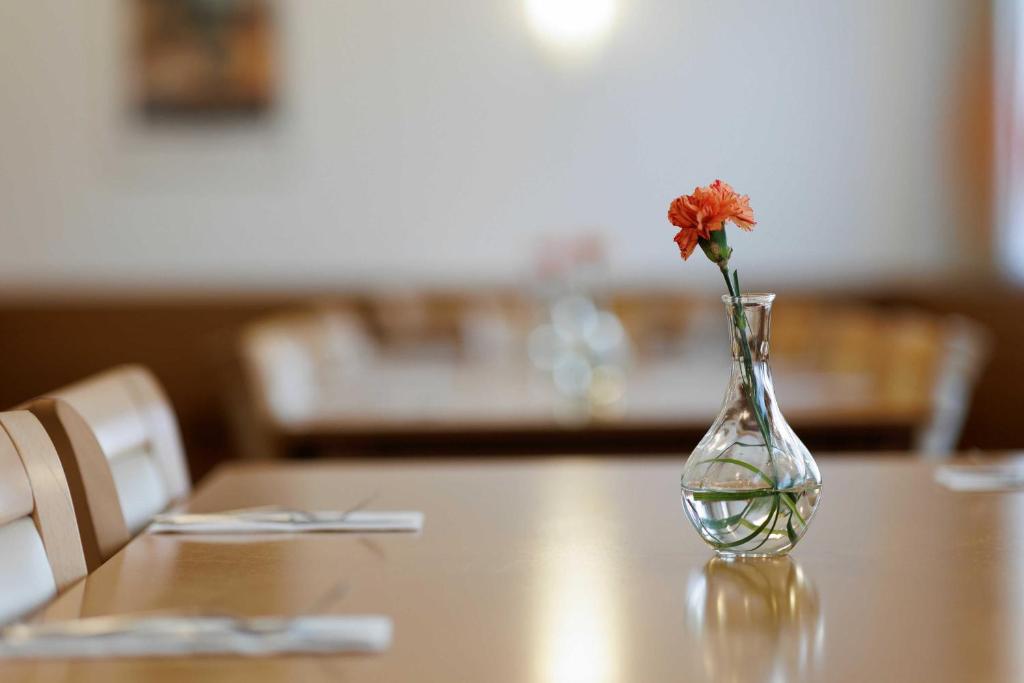 OREA Hotel Voro Brno - Resim 31