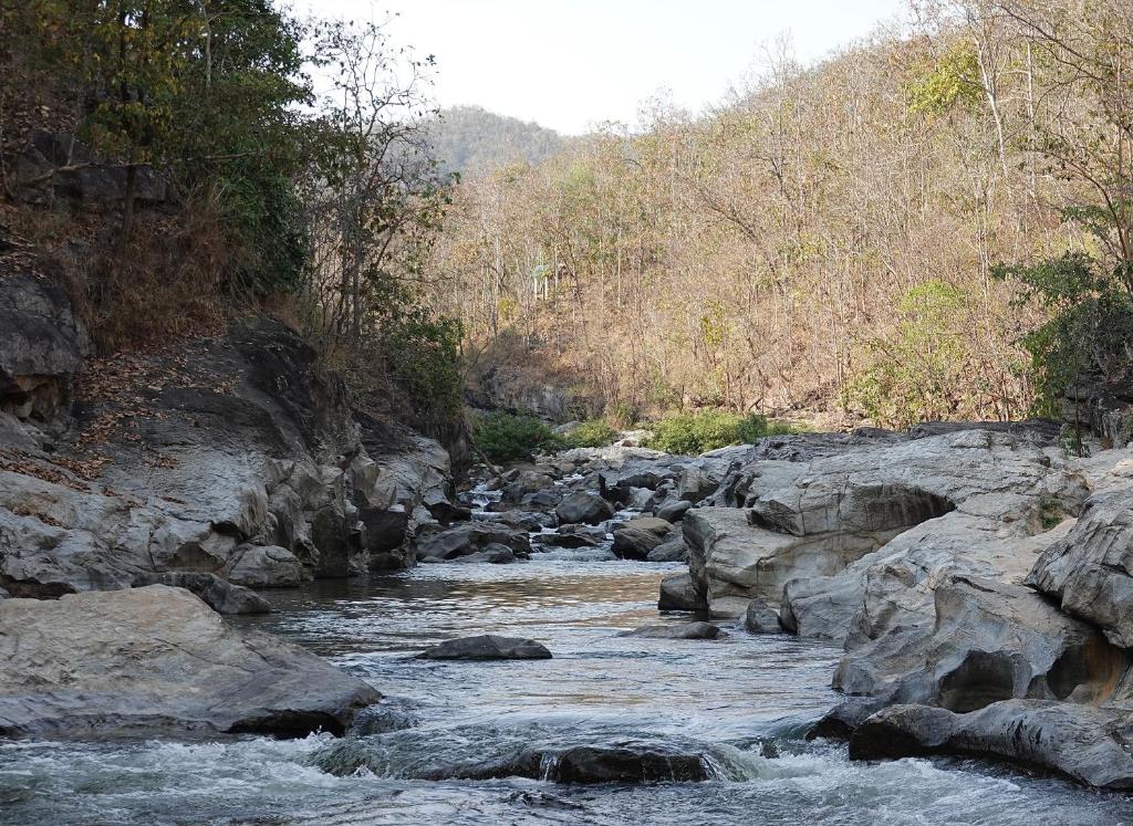 Sela Chiangmai - Resim 25