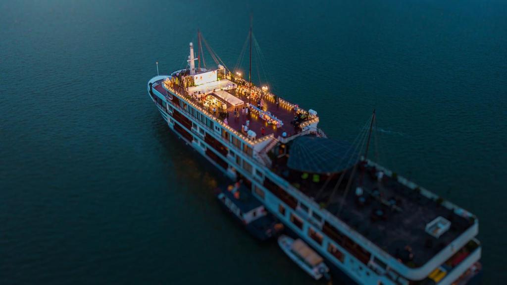 Erina Cruise by HAG - 6