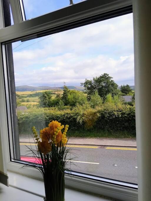 un jarrón de flores en una ventana con vistas en 2 Bed pet-free cottage, private garden & fell view, en Arlecdon
