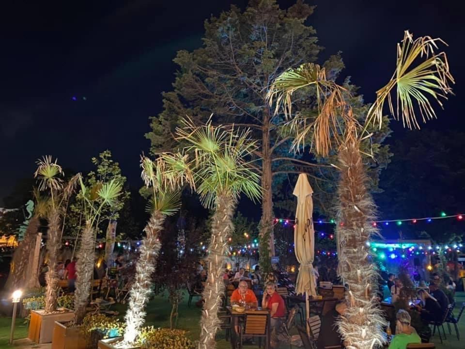 a group of palm trees with lights and a umbrella at Hotel Venus in Venus