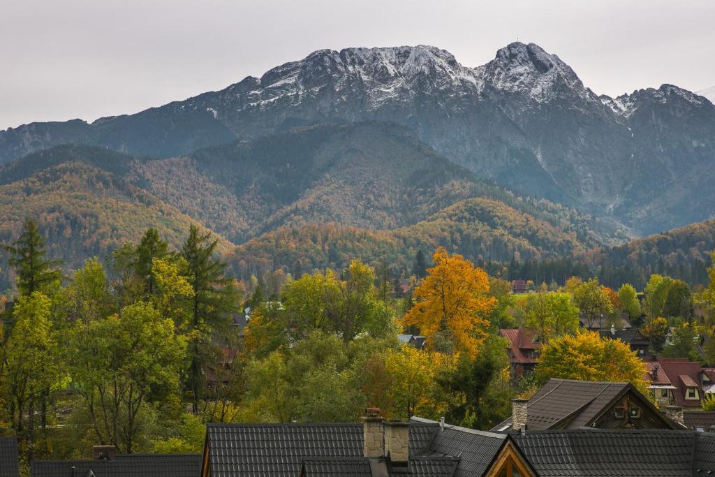 Výhľad na hory alebo výhľad na hory priamo z apartmánu