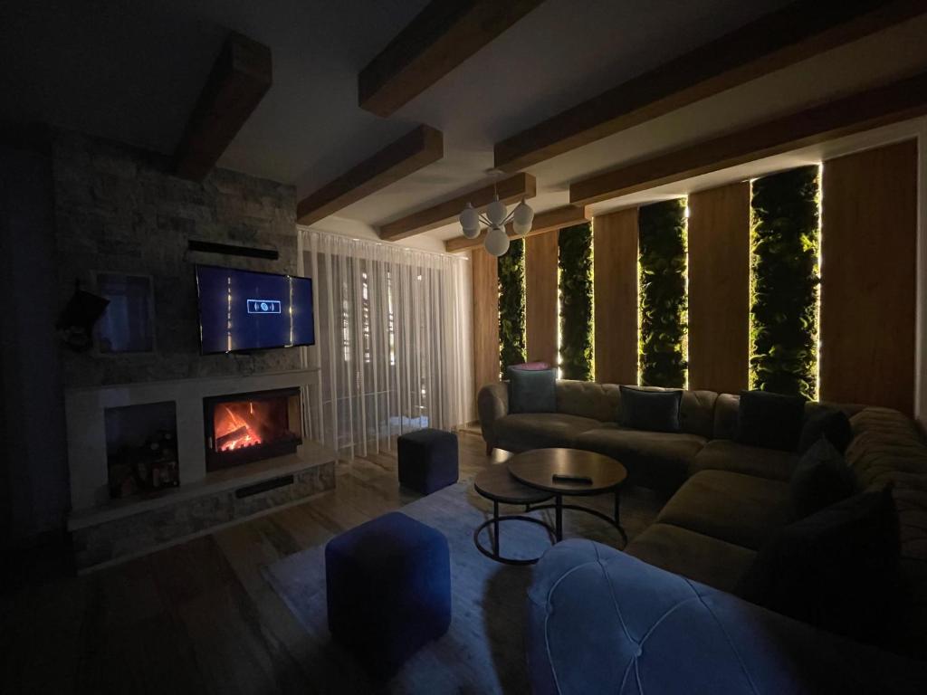 a living room with a couch and a fireplace at Villa Breza Brezovice in Brezovica