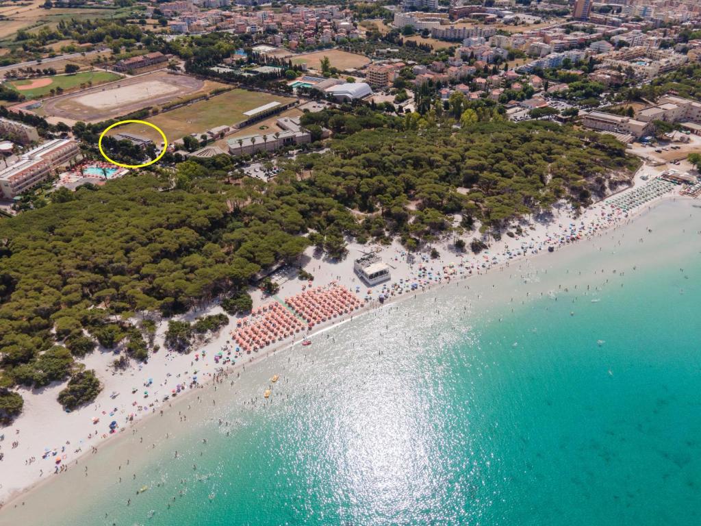 una vista aerea di una spiaggia con un cerchio giallo di La Meta Sporting Rooms ad Alghero
