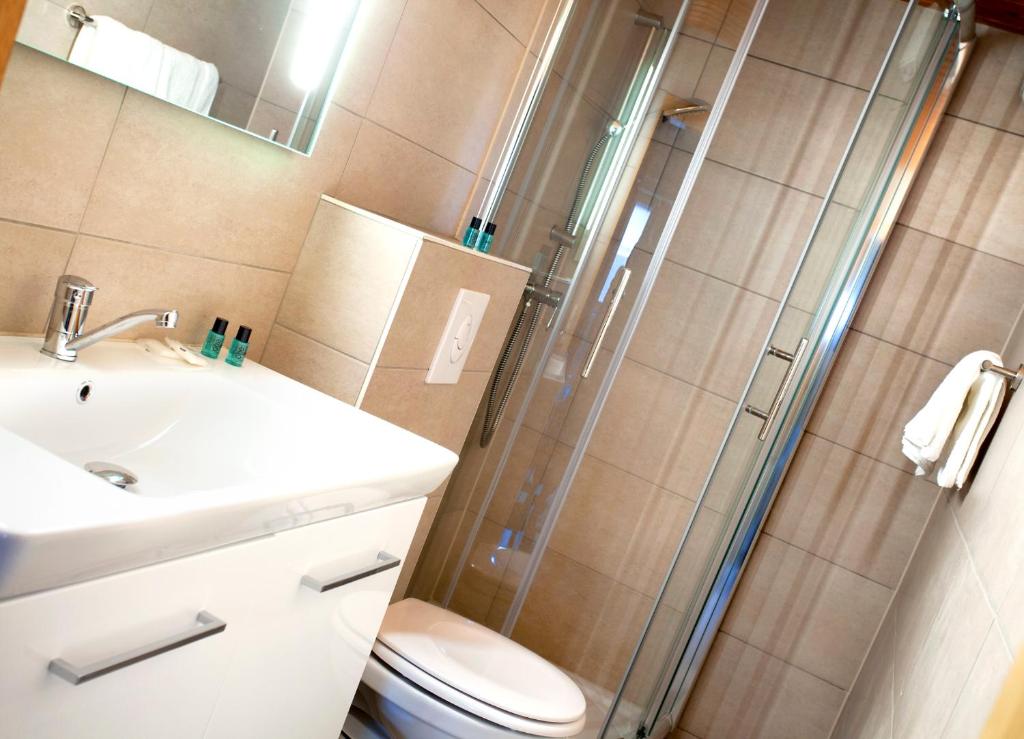 a bathroom with a shower and a toilet and a sink at Hotel Sankt Wendel in Prüm