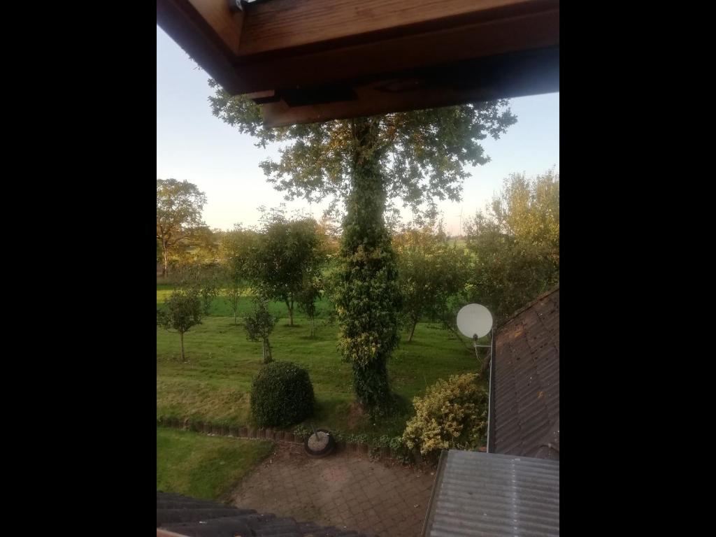 a window view of a tree in a yard at NEU! Ferienwohnung Nordfriesland in Achtrup