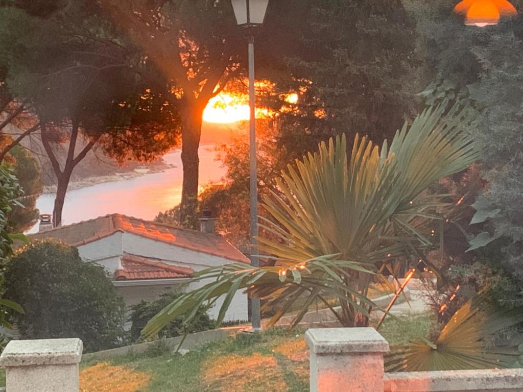 einen Sonnenuntergang in einem Park mit einer Palme in der Unterkunft Casa, espectacular vista al Pantano de San Juan. in San Martín de Valdeiglesias