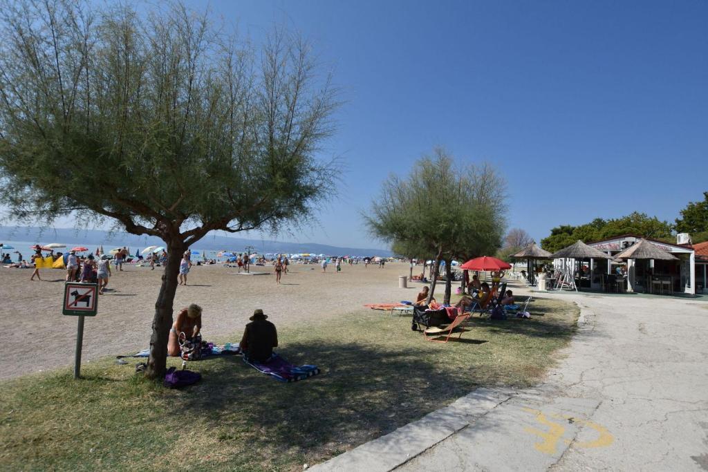 Príroda v okolí apartmánu