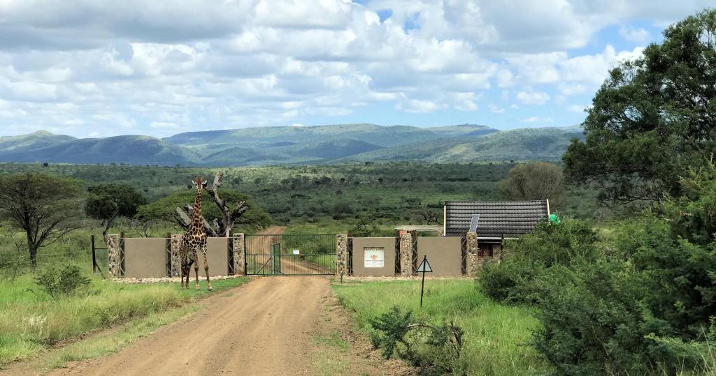 a dirt road with a building and mountains in the background at Amakhosi Safari Lodge & Spa in Magudu