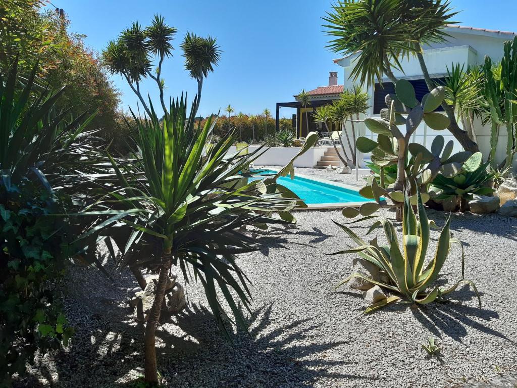 a garden with palm trees and a swimming pool at Yuccas House in Sesimbra