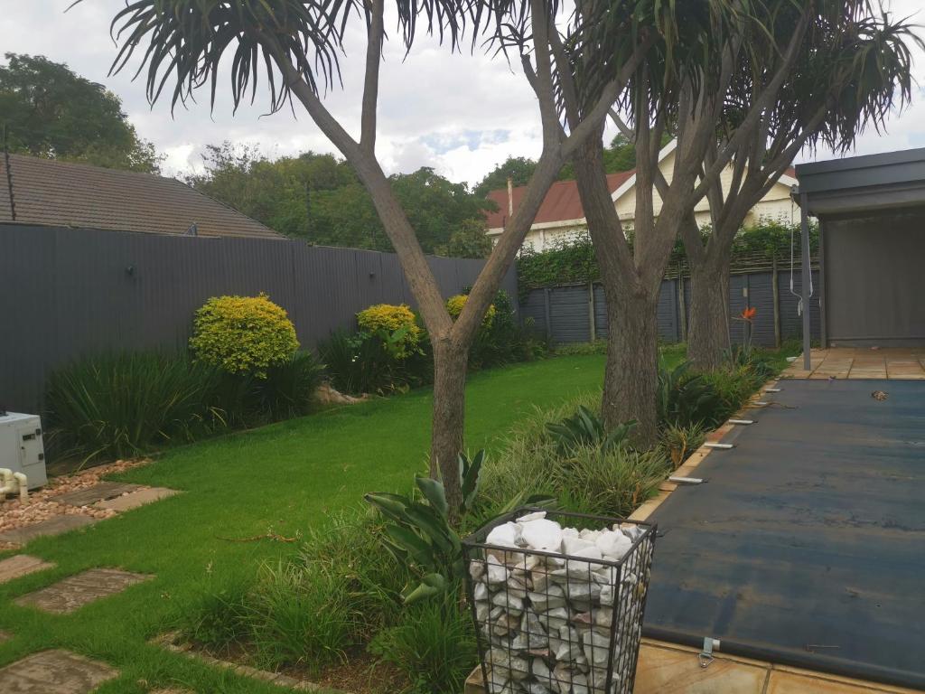 a yard with a palm tree and a fence at Falklands Guest House in Johannesburg