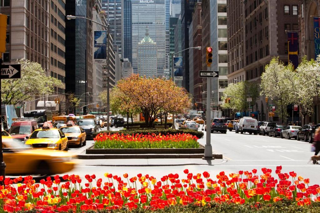 Loews Regency New York Hotel - 