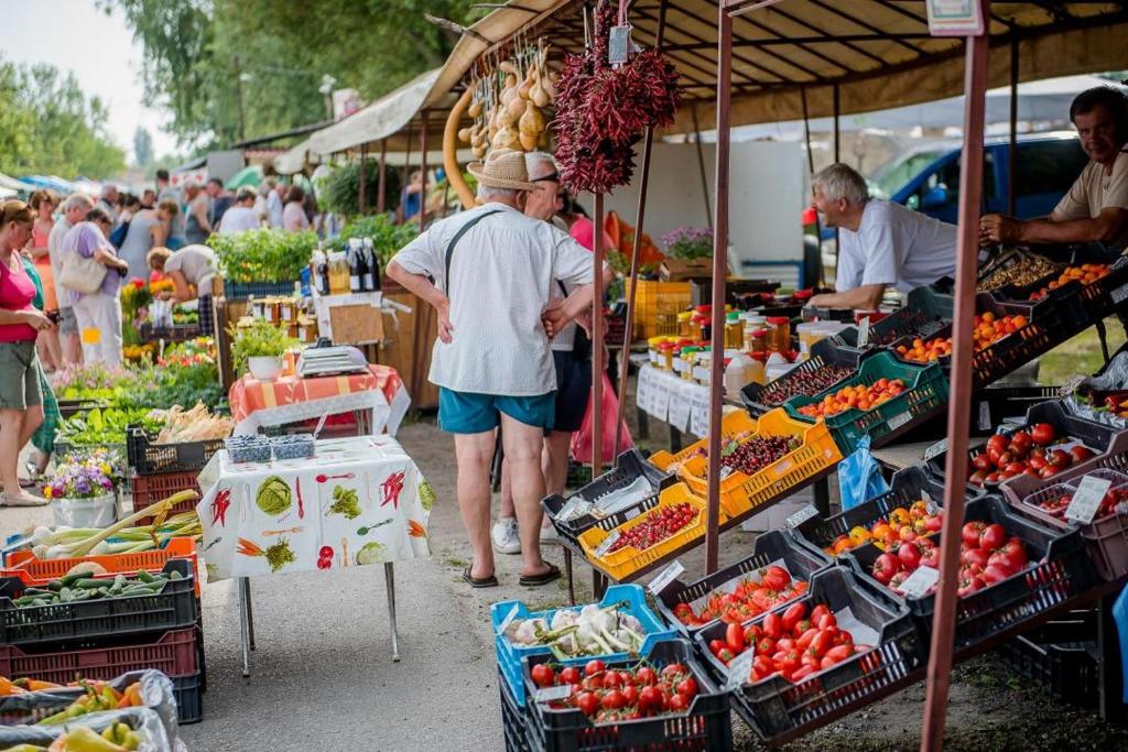 Majutusasutuse HANNA Apartman külastajad