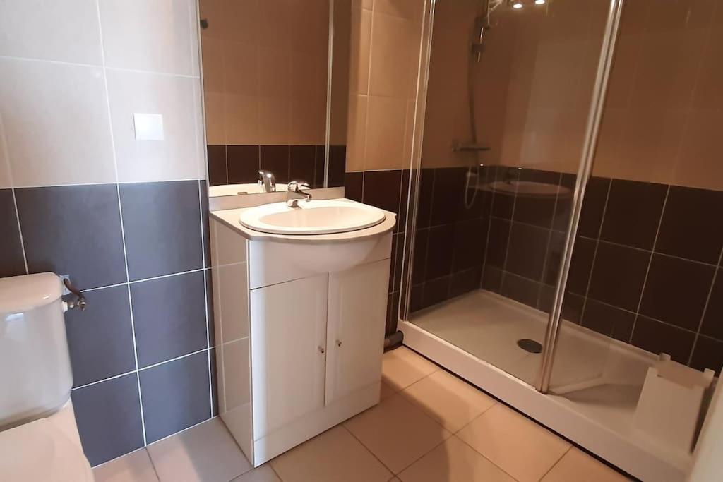 a bathroom with a sink and a shower at Vaste appartement avec vue sur la Vienne in Chinon