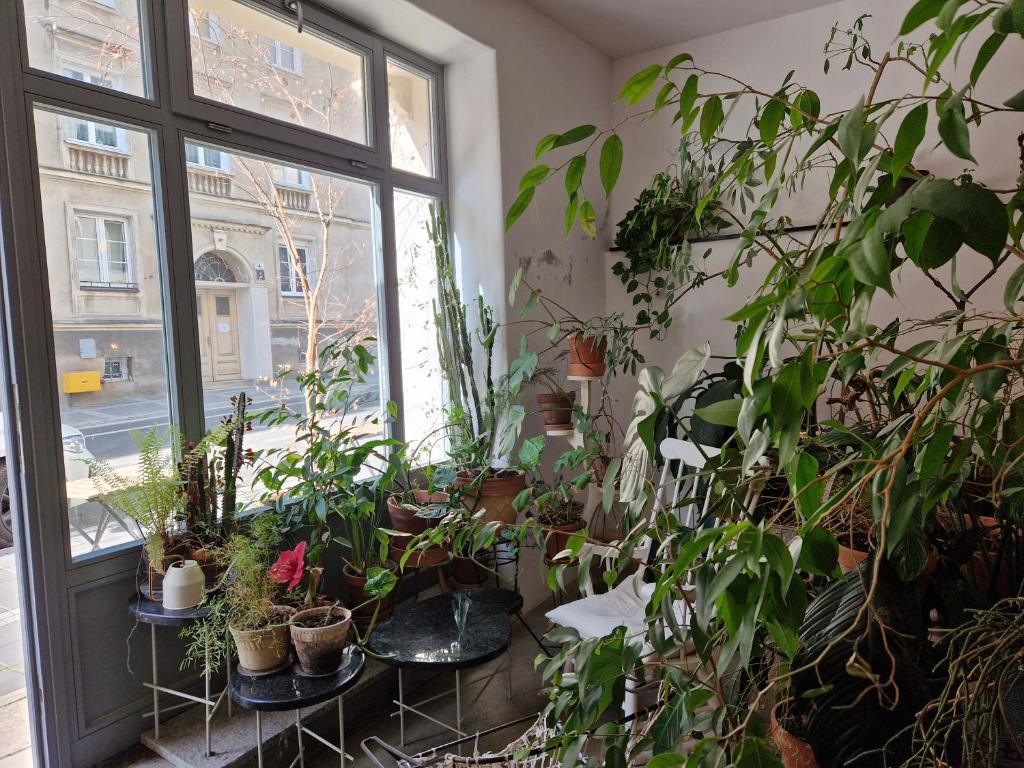 Vonkajšia záhrada v ubytovaní Apartament My City