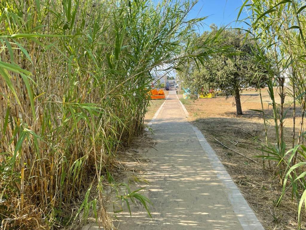 a path through a field of tall grass at Casa Lores - Fronte Mare Pescoluse in Marina di Pescoluse