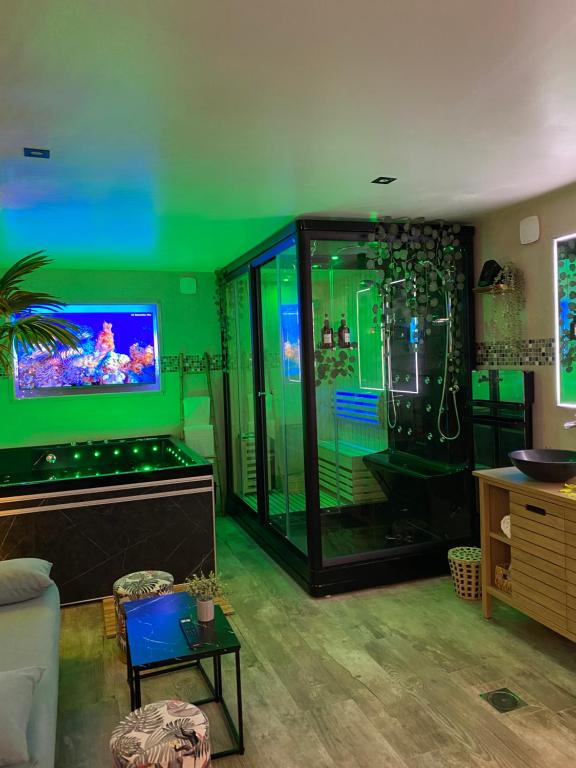 a living room with a video game console and a green wall at BIOTY CHILL &amp; SPA in Le Blanc-Mesnil