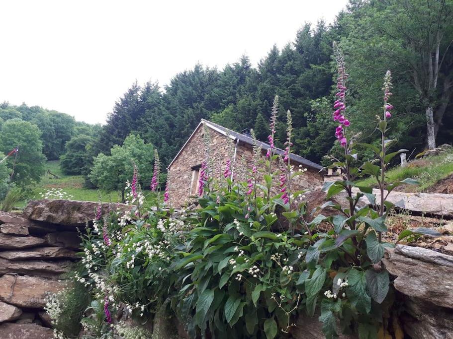 a stone house with flowers in front of a stone wall at Petite bergerie en pierres tout confort in Salles-Curan